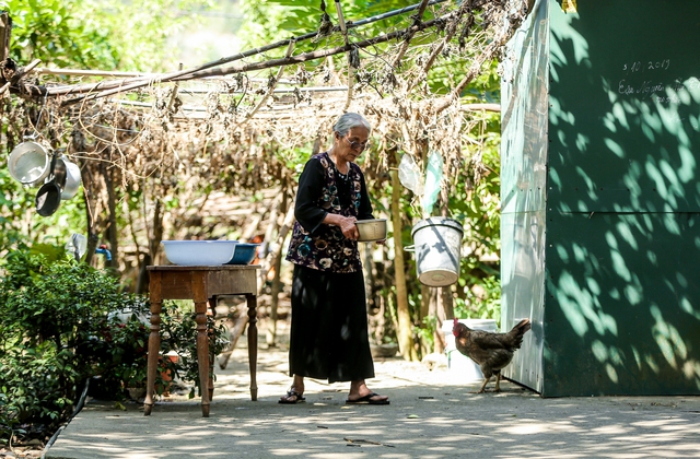 Chuyện đời cụ bà 79 tuổi sống 1 mình trong căn nhà hoang giữa núi rừng, nơi hạnh phúc có một định nghĩa rất khác - Ảnh 7.