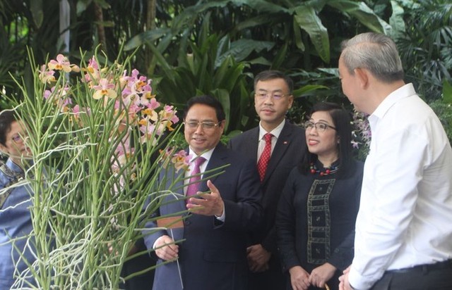Lễ định danh hoa lan theo tên Thủ tướng Phạm Minh Chính và Phu nhân ở Singapore - Ảnh 1.