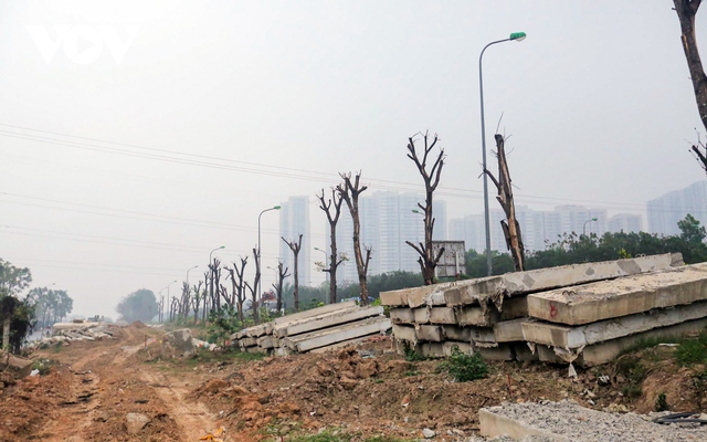 Loạt cây xanh chết khô trên Đại lộ Thăng Long được di chuyển đến nơi khác - Ảnh 1.