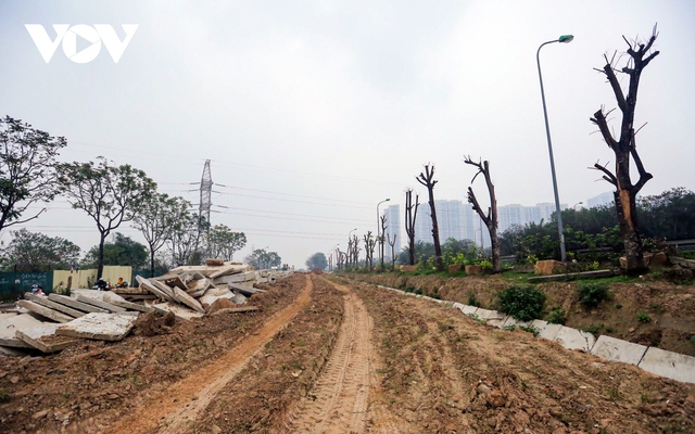 Loạt cây xanh chết khô trên Đại lộ Thăng Long được di chuyển đến nơi khác - Ảnh 3.