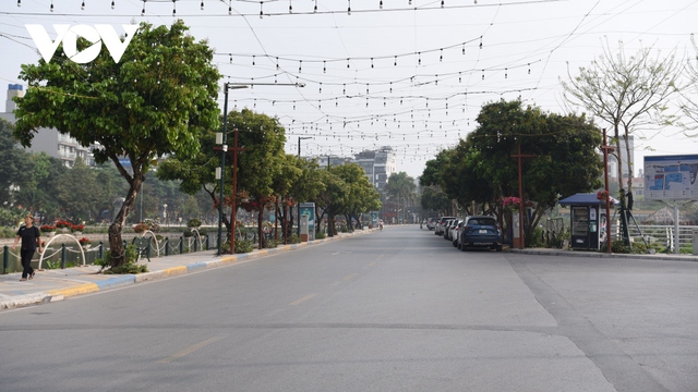 Hà Nội đánh chuyển rặng nhãn trên tuyến phố đi bộ Trịnh Công Sơn - Ảnh 2.