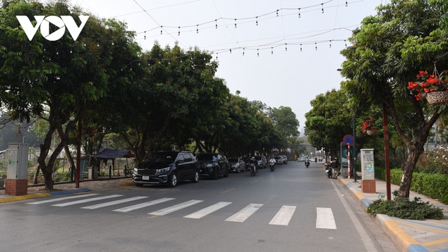 Hà Nội đánh chuyển rặng nhãn trên tuyến phố đi bộ Trịnh Công Sơn - Ảnh 4.