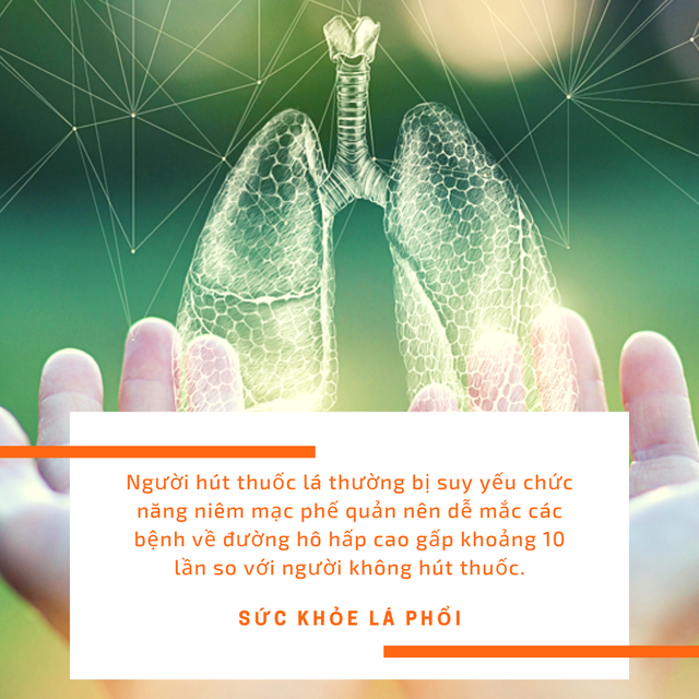 Loại rau bổ phổi tự nhiên, càng ăn nhiều càng thải độc phổi hiệu quả: Người hút thuốc rất cần biết - Ảnh 1.