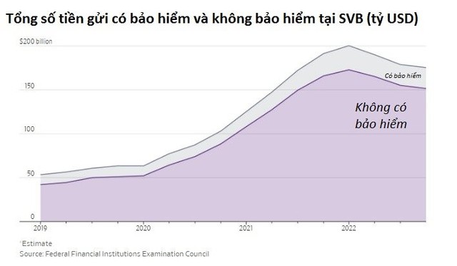 Vụ SVB: Bi hài những founder startup phải vội tấp xe vào lề đường để rút tiền khỏi ngân hàng - Ảnh 3.