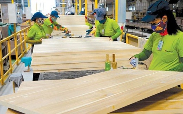 Bình Định chấp thuận nhà đầu tư dự án sản xuất gỗ gần 1.000 tỷ đồng