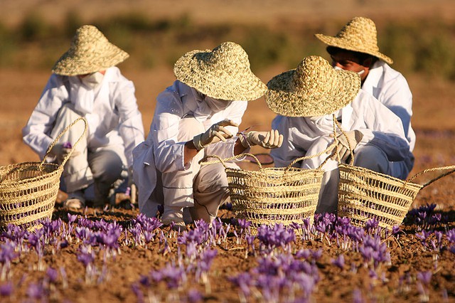 Loại gia vị đắt đỏ nhưng tận dụng có thể chống bệnh tiểu đường, tăng cường trí nhớ và tốt cho da - Ảnh 2.