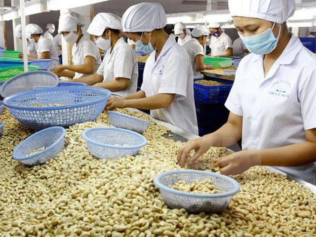 Việt Nam nhập khẩu hạt điều tăng vọt, giai đoạn bất thường tái diễn? - Ảnh 1.