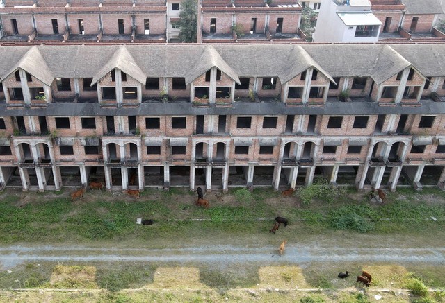 Khu đô thị có hàng trăm biệt thự triệu đô bỏ hoang ở Hà Nội - Ảnh 15.