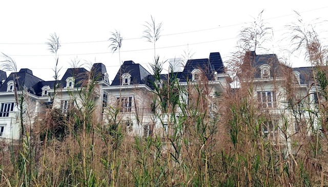 Khu đô thị có hàng trăm biệt thự triệu đô bỏ hoang ở Hà Nội - Ảnh 13.