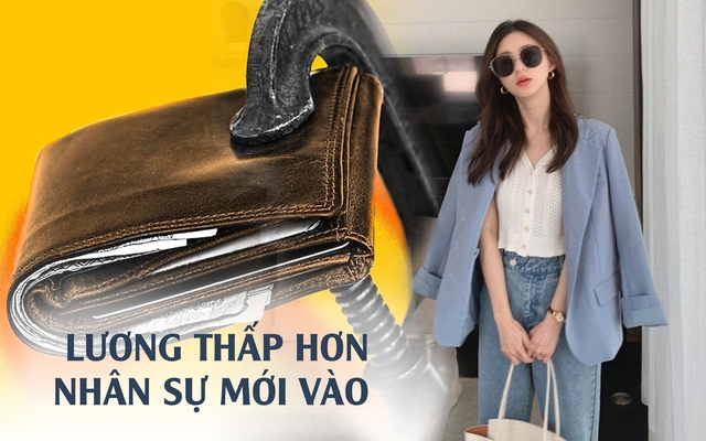 Làm việc 10 năm, tôi bàng hoàng phát hiện lương còn thấp hơn cả sinh viên mới ra trường?