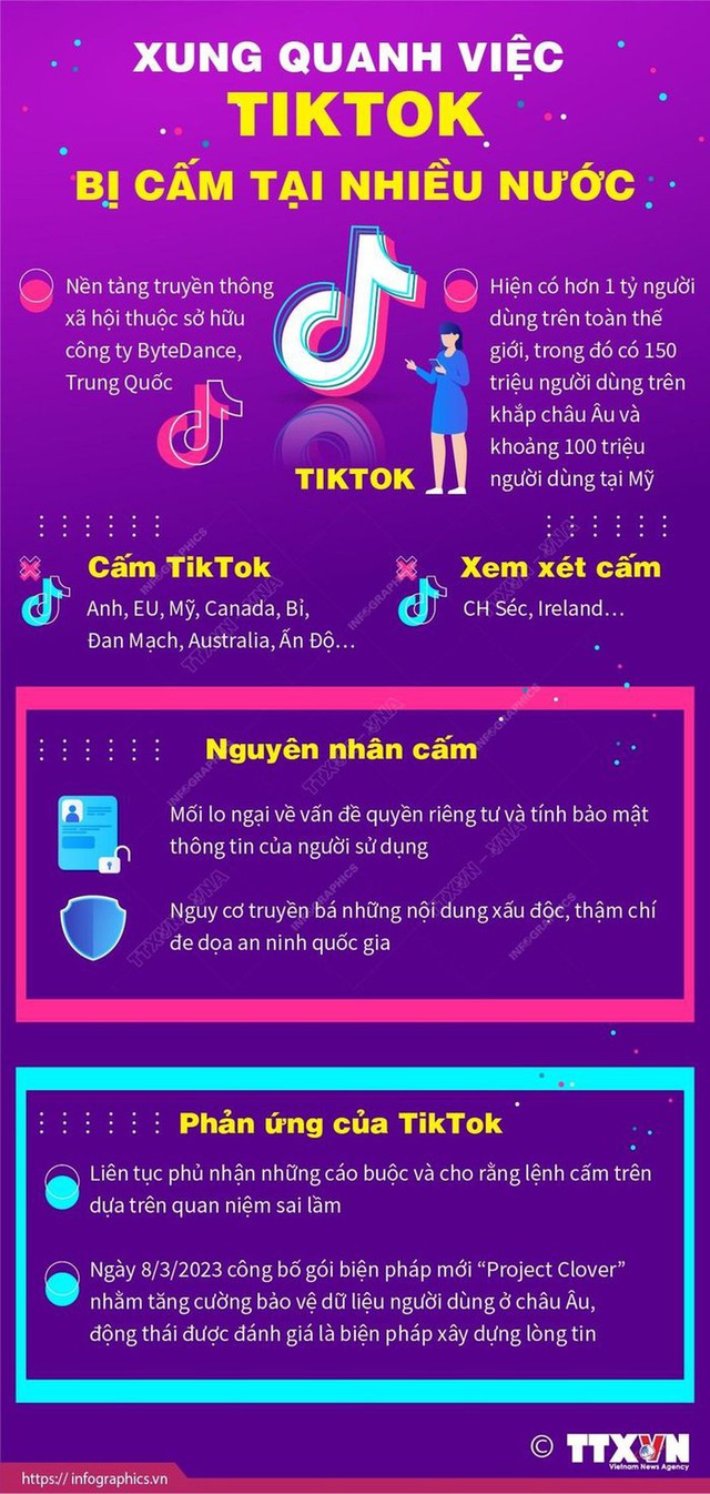 Xung quanh việc TikTok bị cấm tại nhiều nước - Ảnh 1.