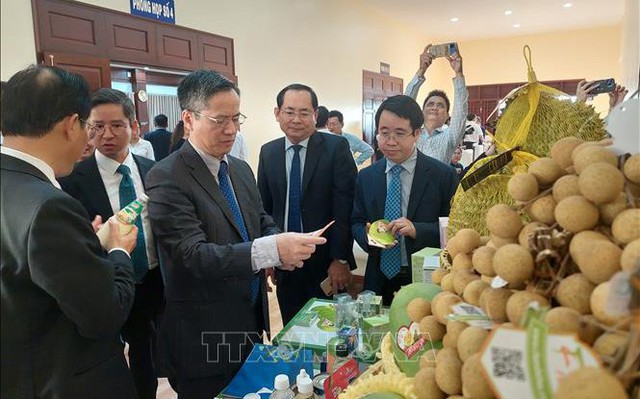 Đại biểu tham quan trưng bày các sản phẩm nông nghiệp thế mạnh của Bến Tre. Ảnh: Chương Đài/TTXVN