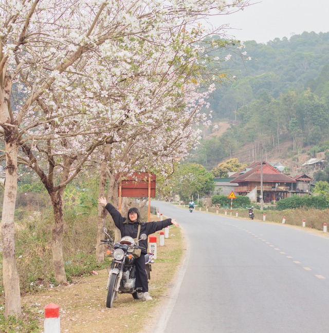 Ngất ngây trước vẻ đẹp Điện Biên mùa hoa ban nở lung linh nhất trong năm - Ảnh 5.