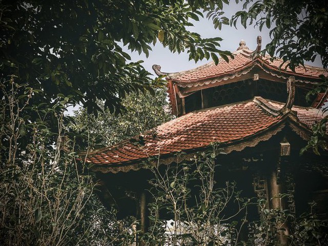 Biệt phủ gỗ lim rộng 1.000m2 ở Nam Định, đi nửa ngày chưa khám phá hết, chủ nhân hé lộ về dòng dõi trâm anh quyền thế - Ảnh 6.