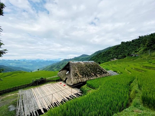 Cứ ngỡ trong truyện cổ tích nhưng những mái nhà phủ rêu ngoài đời thật lại ở ngay vùng đất gây thương nhớ của Việt Nam - Ảnh 2.