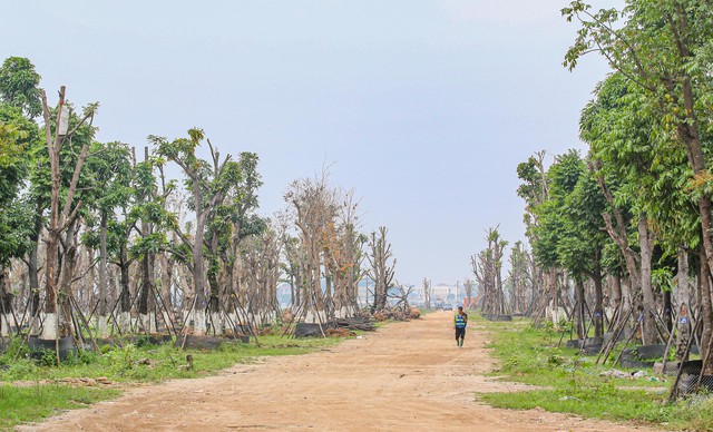 [Photo Essay] Đông Anh chuẩn bị lên quận, giá nhà đất vẫn im lìm - Ảnh 6.