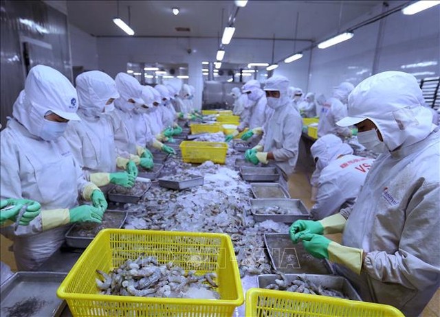 Thủy hải sản nằm trong số các mặt hàng xuất khẩu chính của Việt Nam sang Israel. Ảnh minh họa: Vũ Sinh/TTXVN