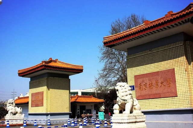Một trường đại học ở Trung Quốc tuyển nhân viên với lương chỉ hơn 6 triệu đồng nhưng có tới 2000 ứng viên, tỷ lệ chọi lên tới 1:1000, công việc gì mà hot vậy? - Ảnh 1. Một trường đại học ở Trung Quốc tuyển nhân viên với lương chỉ hơn 6 triệu đồng nhưng có tới 2000 ứng viên, tỷ lệ chọi lên tới 1:1000, công việc gì mà hot vậy? - Ảnh 1.