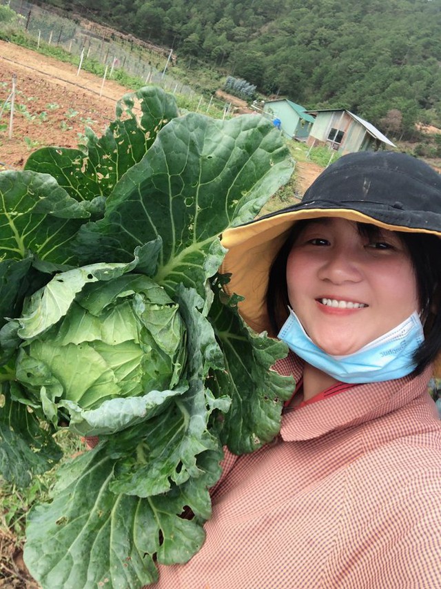  Cô gái bỏ phố lên Đà Lạt chữa lành: Chưa kịp làm gì thì tiêu gần 100 triệu, mượn tiền thuê đất trồng rau duy trì cuộc sống - Ảnh 3.