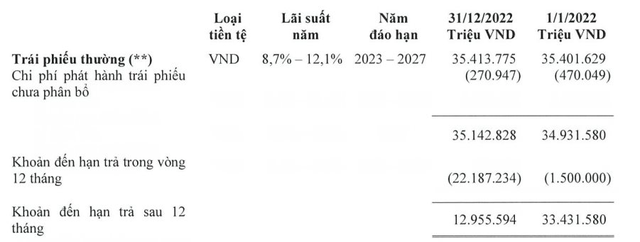 Gần 1 tỷ USD trái phiếu đáo hạn trong năm 2023, Masan đang làm thế nào? - Ảnh 1.