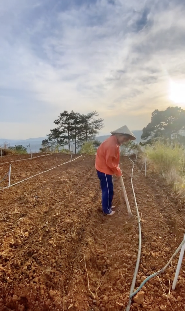  Cô gái bỏ phố lên Đà Lạt chữa lành: Chưa kịp làm gì thì tiêu gần 100 triệu, mượn tiền thuê đất trồng rau duy trì cuộc sống - Ảnh 9.