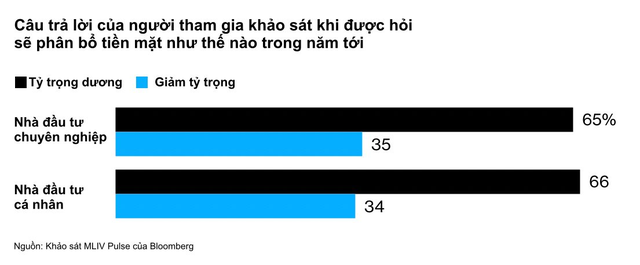 Các nhà đầu tư chuyên nghiệp: Tiền mặt là vua trong năm 2023! - Ảnh 1.