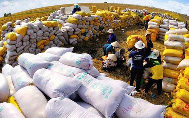 Xuất khẩu gạo mang về gần 1 tỷ USD