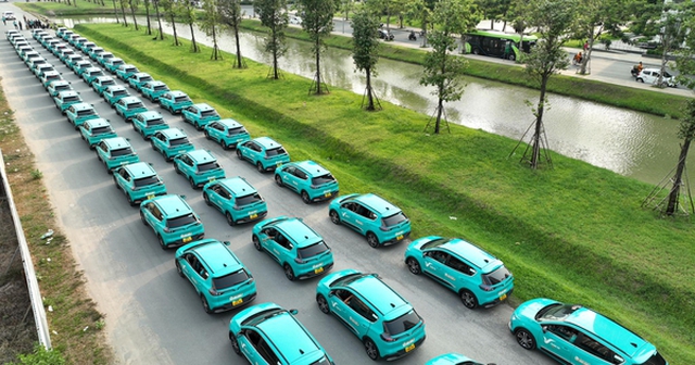 Cận cảnh hàng trăm taxi điện của tỉ phú Phạm Nhật Vượng tại TP HCM