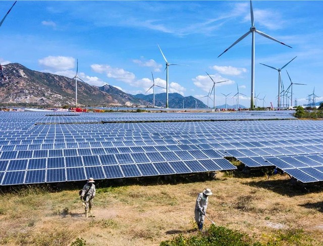 Chủ đầu tư dự án Điện mặt trời Trung Nam lãi 251 tỷ đồng, giảm 12% trong năm 2022, còn 13 lô trái phiếu với dư nợ 2.350 tỷ