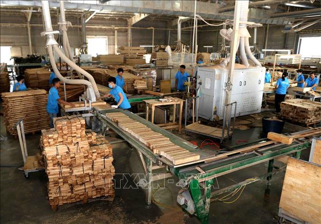 Sản xuất, chế biến gỗ tại Công ty TNHH khai thác, chế biến lâm sản Đà Lạt (Lâm Đồng). Ảnh (tư liệu) minh họa: Vũ Sinh/TTXVN