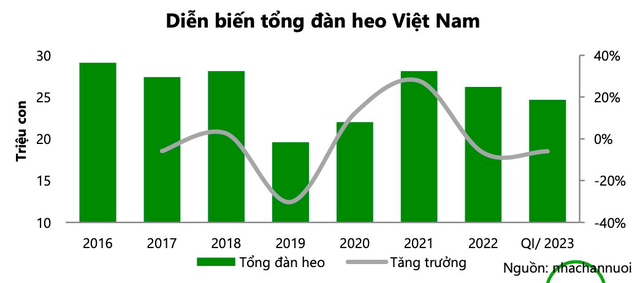 VCBS dự báo giá heo tăng lại từ tháng 8/2023, đẩy biên lợi nhuận DN tăng đến 14%: Ngành heo đang “rũ bùn đứng dậy”? - Ảnh 2.