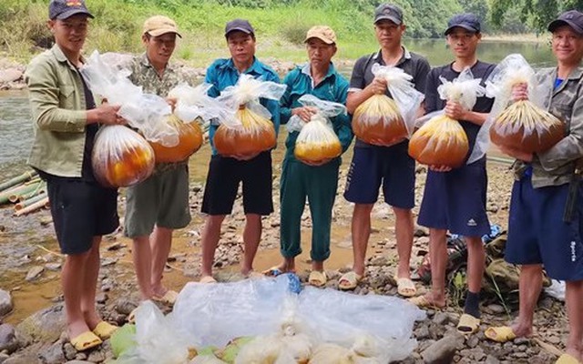 Cũng bán mật ong, nhóm người này chọn cách băng rừng, vượt thác lên thượng nguồn sông Đà để lấy được vài lít mật ong quý giá