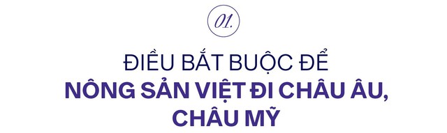 ‘Người gác cổng’ cho nông sản Việt đi những thị trường khó tính nhất thế giới và ‘chấp niệm’ người Việt phải được ăn sạch - Ảnh 2.