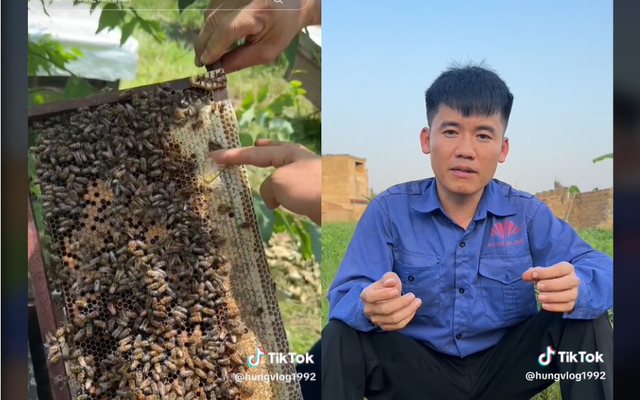 Con trai bà Tân Vlog lên tiếng đính chính: Khẳng định mật ong mình bán 100% nguyên chất, xóa video chỉ để 'Tóp tóp' không bóp tương tác