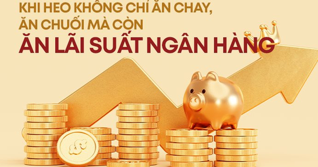 Khi heo không chỉ ăn cám, ăn chuối mà còn ăn cả "lãi" ngân hàng