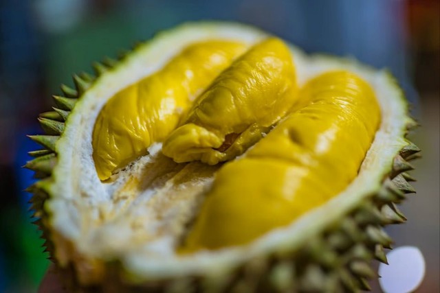 Sầu riêng Musang King của Malaysia