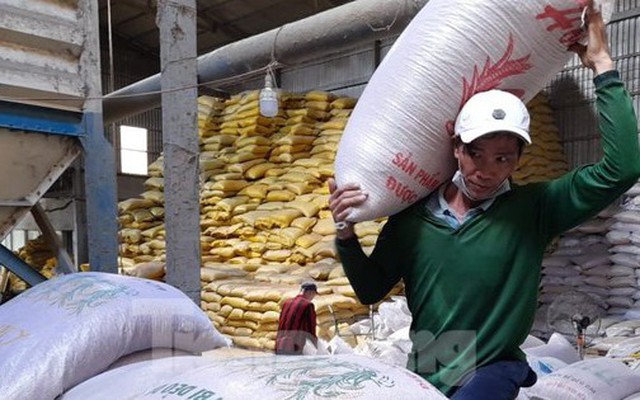 Việt Nam sẽ giảm xuất khẩu gạo vào năm 2030
