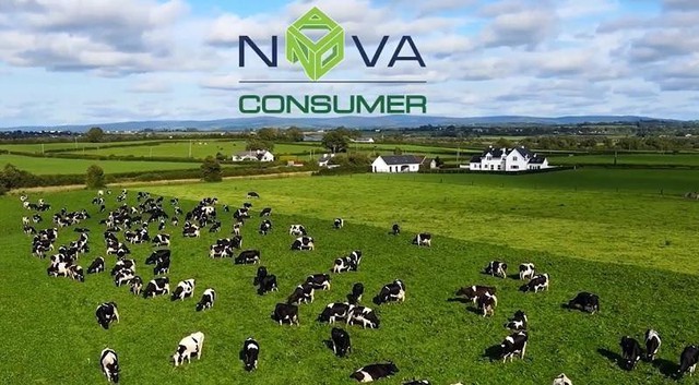 Nova Consumer (NCG) lần đầu báo lỗ kể từ sau IPO