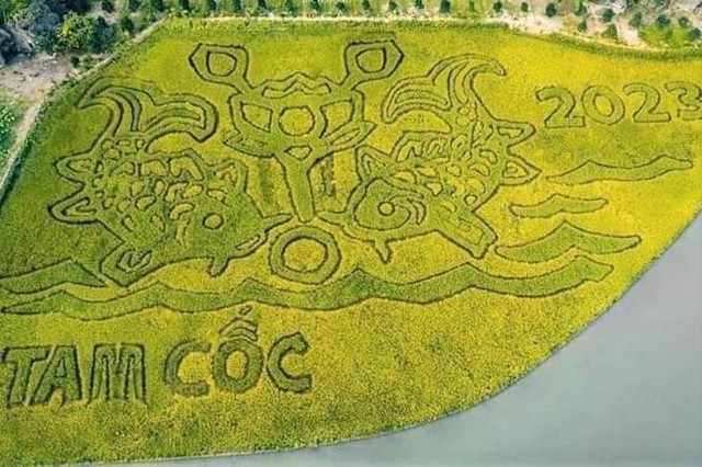 DN đằng sau bức tranh "Lý ngư vọng nguyệt'' trên cánh đồng lúa 10.000 m2 đẹp nhất Việt Nam: Đại gia của những siêu dự án tâm linh tỷ đô