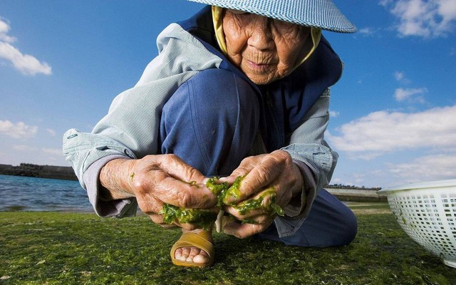 Người thân đều thọ gần 100 tuổi, chuyên gia rút ra bí quyết sống lâu: 6 loại đồ là nơi thường trú của bệnh tật, cần tránh xa