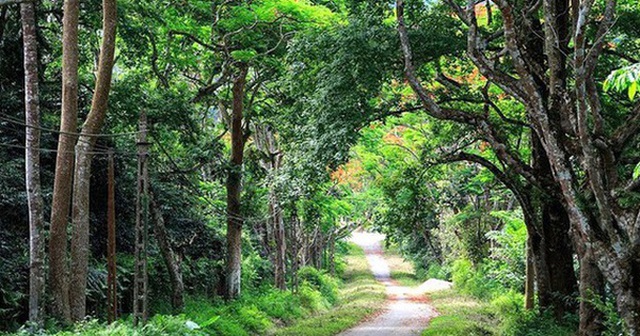 Một Vườn quốc gia Việt Nam vừa đạt giải "hàng đầu châu Á", là năm thứ 5 liên tiếp được vinh danh
