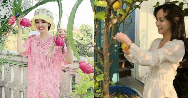 Ngắm vườn cây trái trong biệt tự triệu đô của sao Việt