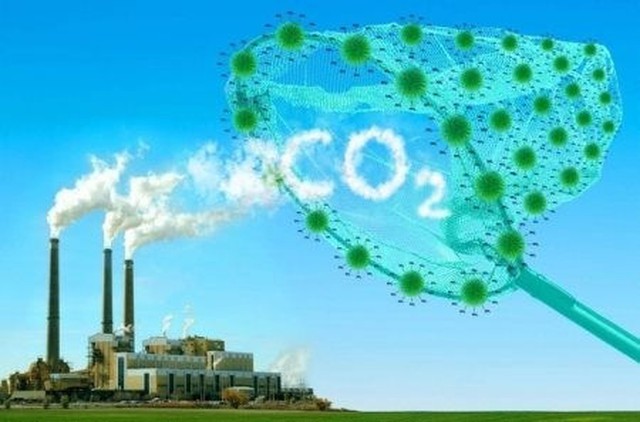 PVN trên lộ trình triển khai mục tiêu cắt giảm 15,55 triệu tấn CO2