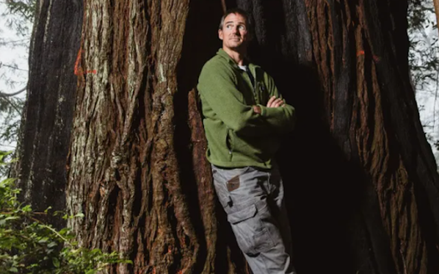 Chàng trai không mua nhà mà quyết sống… trên cây, 6 tháng không xuống đất 1 lần: Đằng sau là lý do cảm động