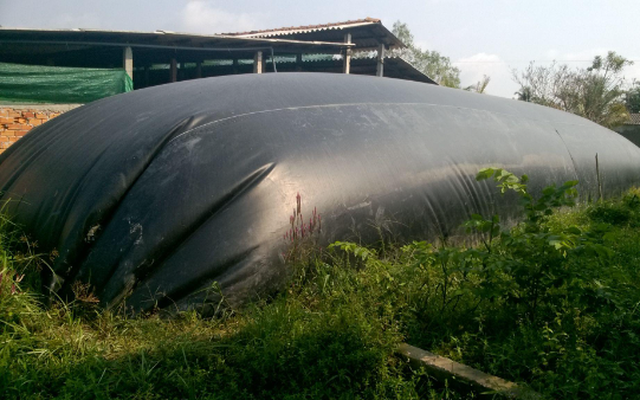 Thi công hầm Biogas bằng bạt HDPE trong chăn nuôi giảm ô nhiễm môi trường