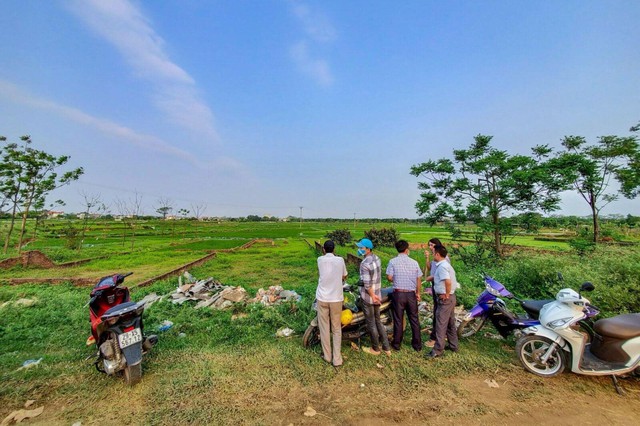 Lâm Đồng: 'Từ nay trở đi không chấp thuận các dự án liên quan đến đất rừng'