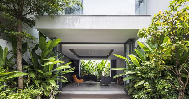 Ngôi nhà tối giản sở hữu hai khu vườn xanh mát
