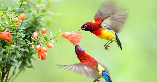 Từ 10.9 đến 20.9, 3 con giáp có sao may mắn chiếu mệnh, tài lộc rực rỡ như cầu vồng