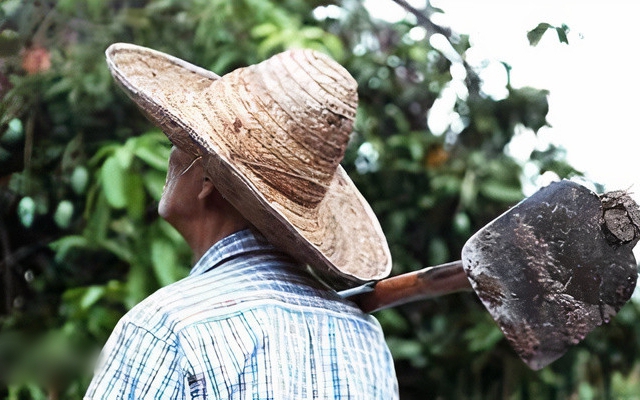 Cả làng cứ tưởng lão nông nghèo khổ, đến khi ông qua đời, đọc di chúc mới biết “triệu phú ẩn dật”, để lại 1 "tài sản" cực giá trị