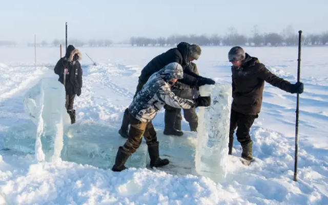 Virus "thây ma" Bắc Cực có thể gây ra đại dịch nguy hiểm mới